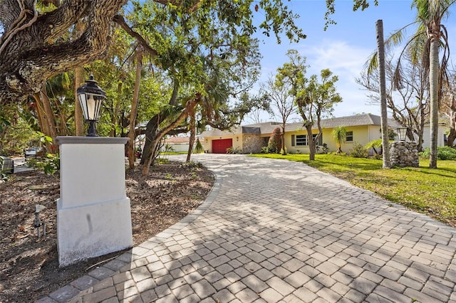 ranch-style house featuring a front lawn