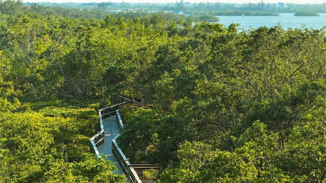 bird's eye view with a water view and a wooded view