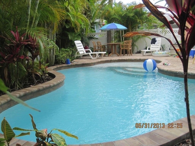 view of swimming pool featuring a patio area