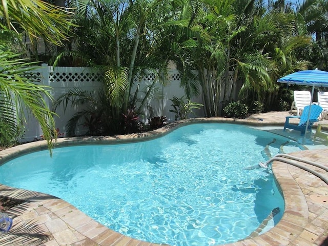 view of swimming pool with a patio