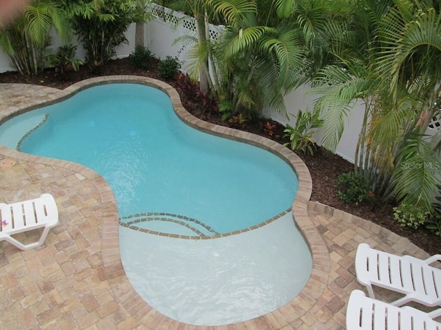 view of swimming pool