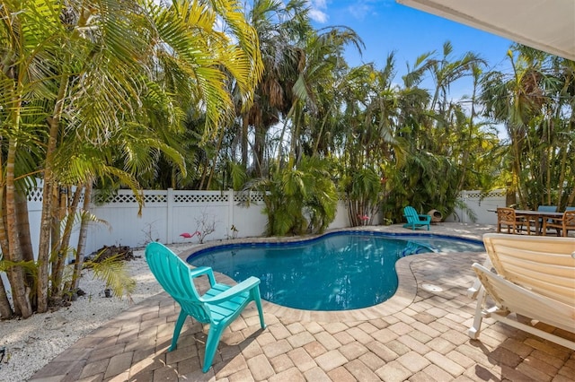 view of swimming pool with a patio