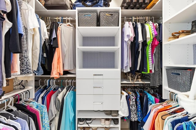 view of spacious closet