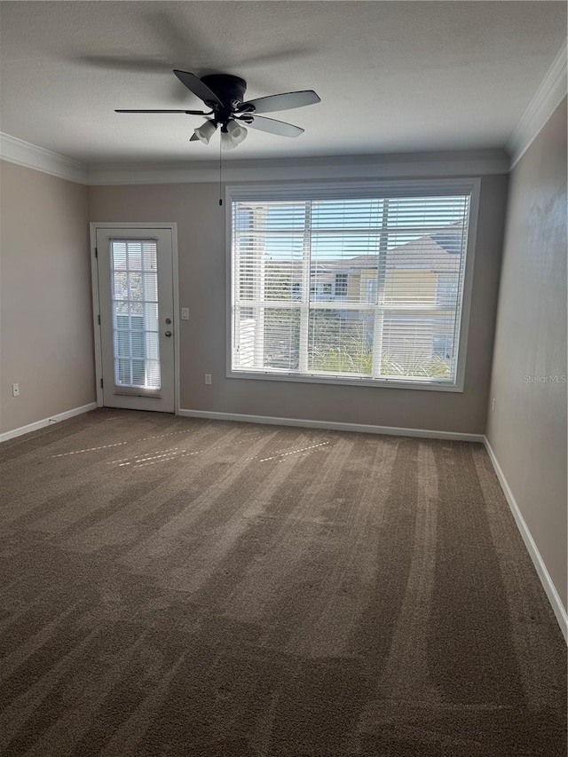 spare room with crown molding, carpet flooring, and ceiling fan