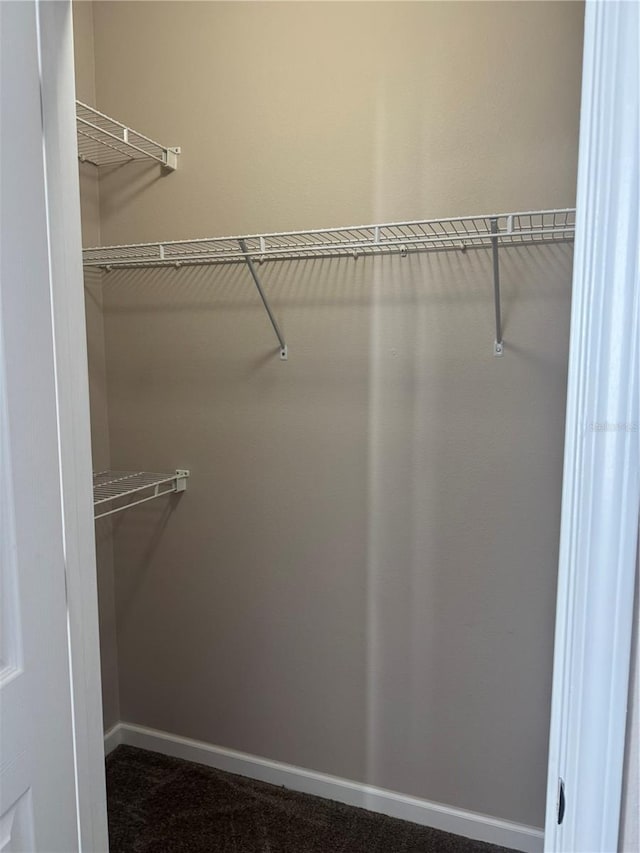 walk in closet with carpet