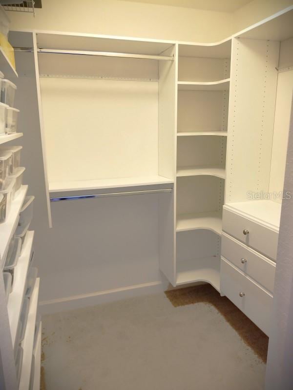 view of spacious closet