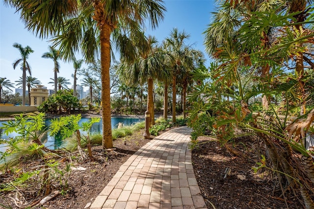 view of home's community with a water view