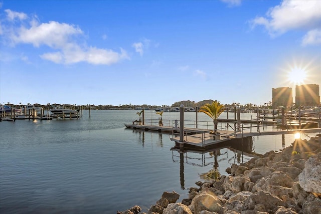 dock area with a water view