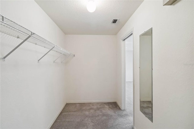 walk in closet with light colored carpet