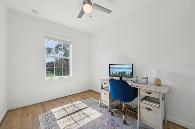 office space with light hardwood / wood-style floors and ceiling fan