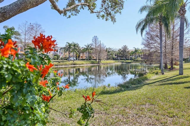 view of water feature