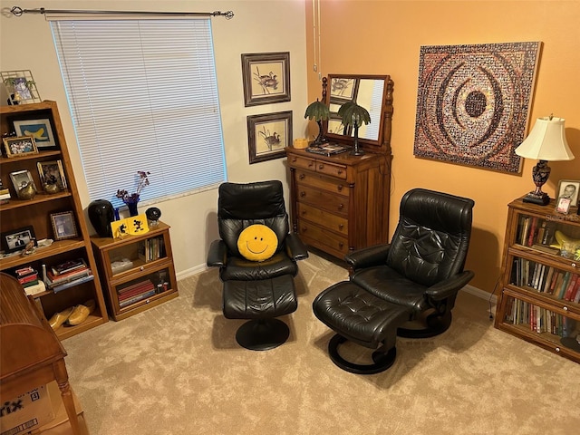 living area with light colored carpet