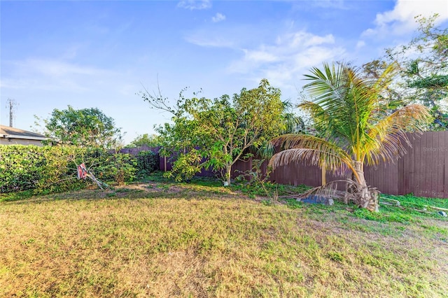 view of yard with a fenced backyard