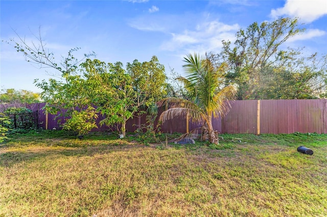 view of yard with a fenced backyard