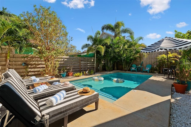 view of swimming pool featuring a patio area