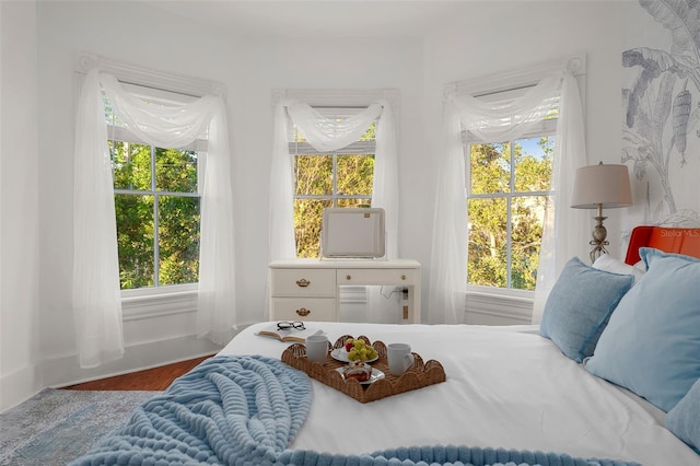 bedroom featuring wood-type flooring