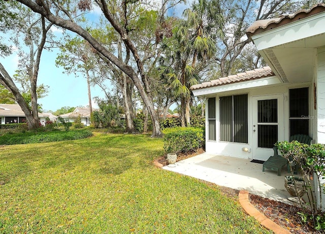 view of yard featuring a patio area