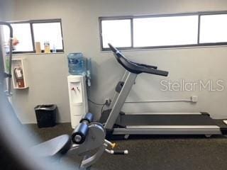 exercise room with plenty of natural light