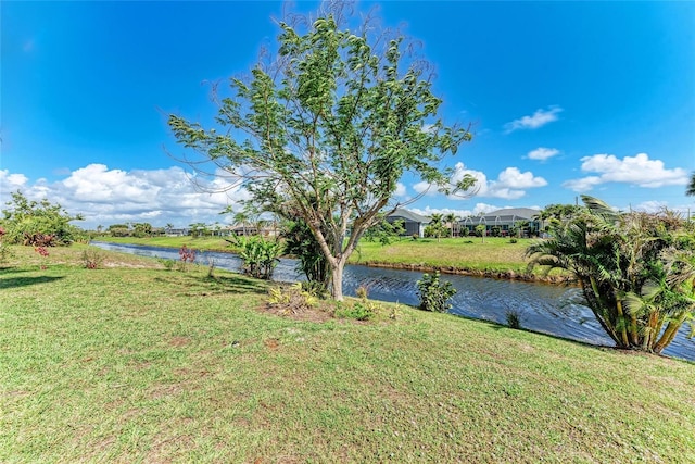 view of yard with a water view