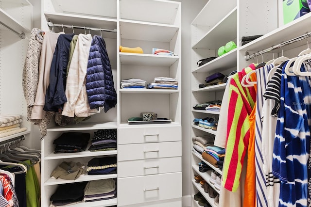 view of spacious closet