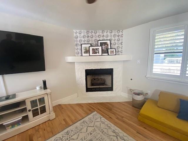 living room with a fireplace and hardwood / wood-style floors