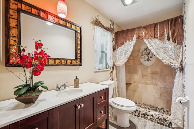 bathroom featuring vanity, a shower with shower curtain, and toilet