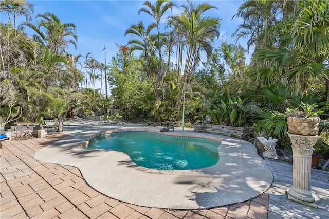 view of swimming pool with a patio area