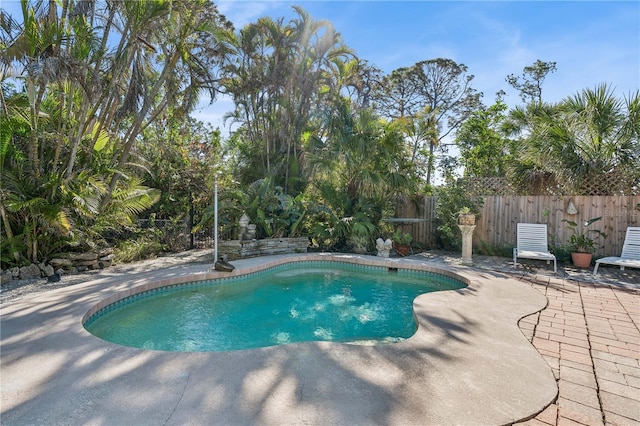 view of pool with a patio