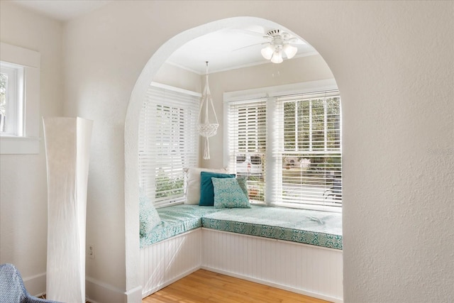 unfurnished room featuring ceiling fan, crown molding, light hardwood / wood-style floors, and a healthy amount of sunlight