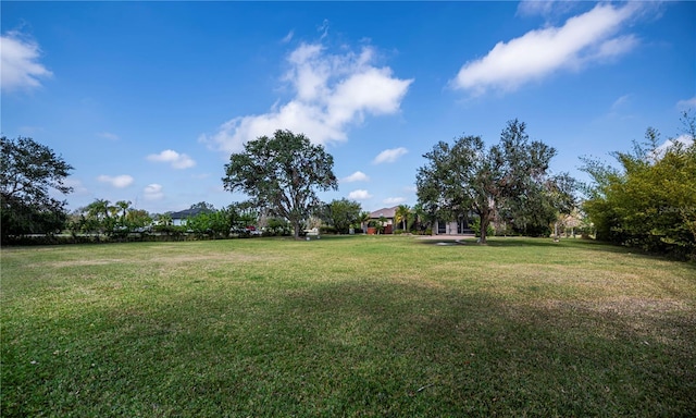 2002 Palm View Rd, Sarasota, FL 34240 - view of grassy yard