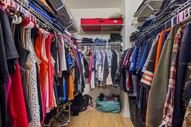 spacious closet with hardwood / wood-style floors