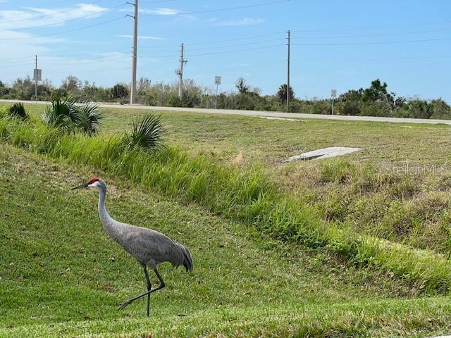 surrounding community featuring a lawn