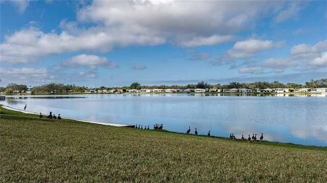 property view of water