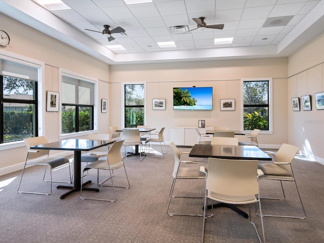 dining area with ceiling fan, a drop ceiling, carpet flooring, and visible vents