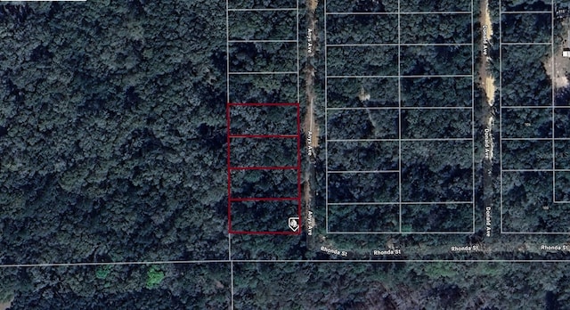 101,103,105 Anys Avenue, Interlachen FL, 32148 land for sale