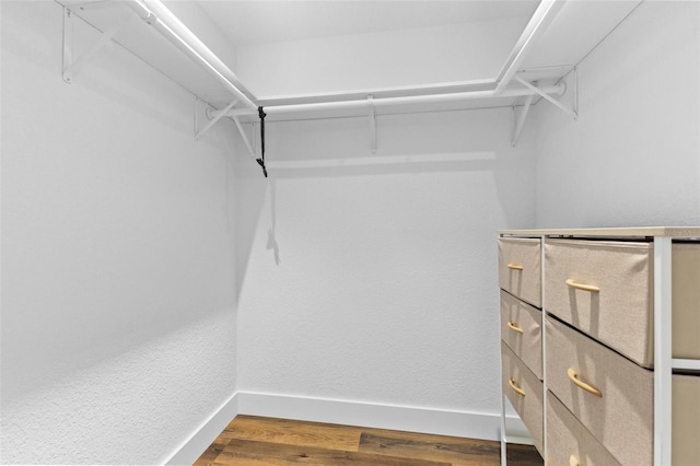 walk in closet featuring wood-type flooring