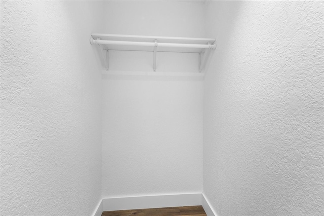 spacious closet featuring wood-type flooring