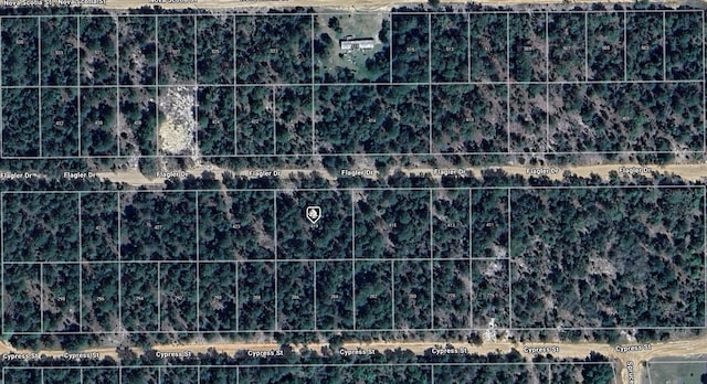 419 Flagler Dr, Interlachen FL, 32148 land for sale