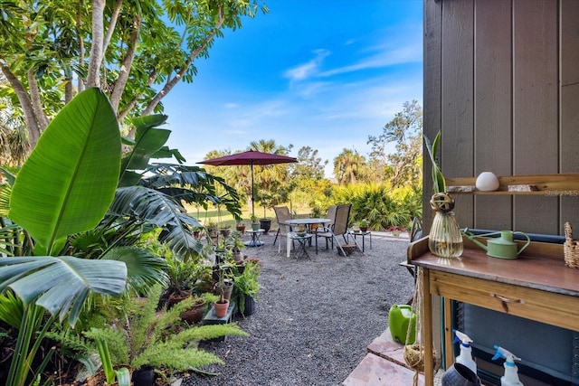 view of yard with a patio