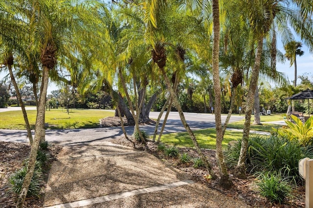 view of community featuring a lawn