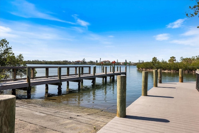 dock area with a water view