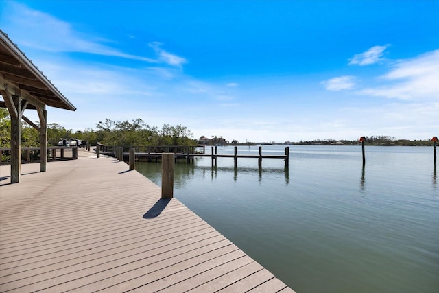 dock area with a water view