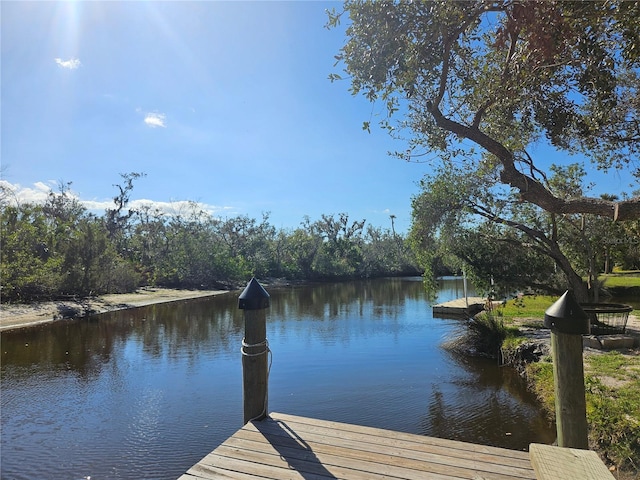 dock area featuring a water view