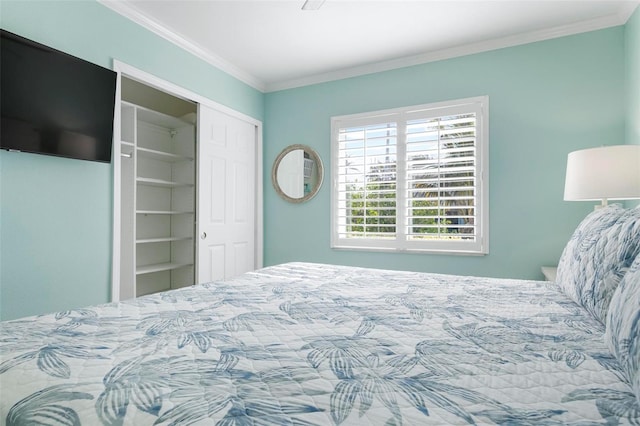 bedroom with a closet and ornamental molding