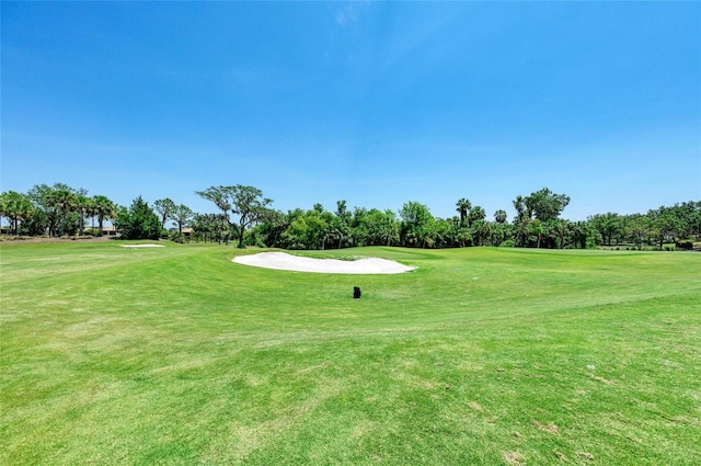 view of community with a lawn