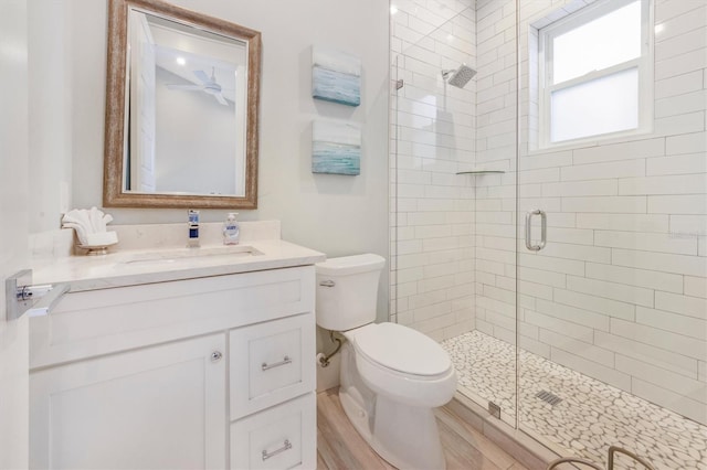 bathroom featuring vanity, wood-type flooring, an enclosed shower, and toilet