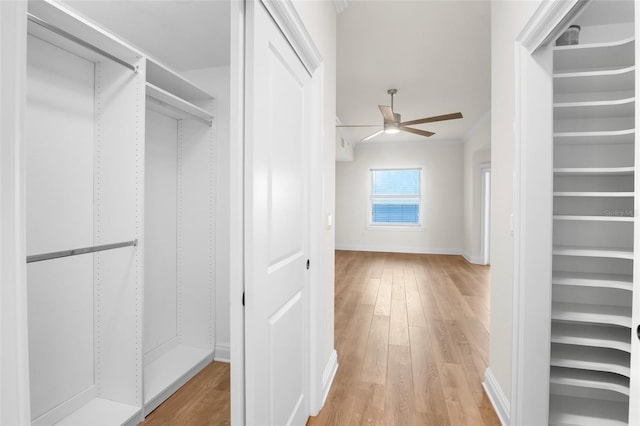 walk in closet featuring ceiling fan and light wood-type flooring