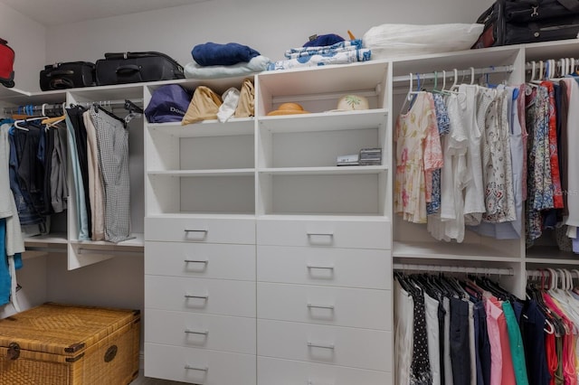 view of spacious closet