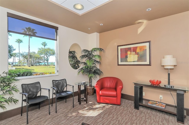 sitting room with carpet