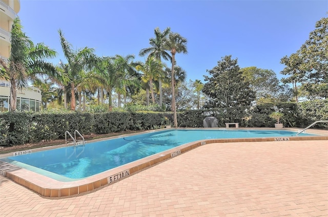 view of swimming pool with a patio